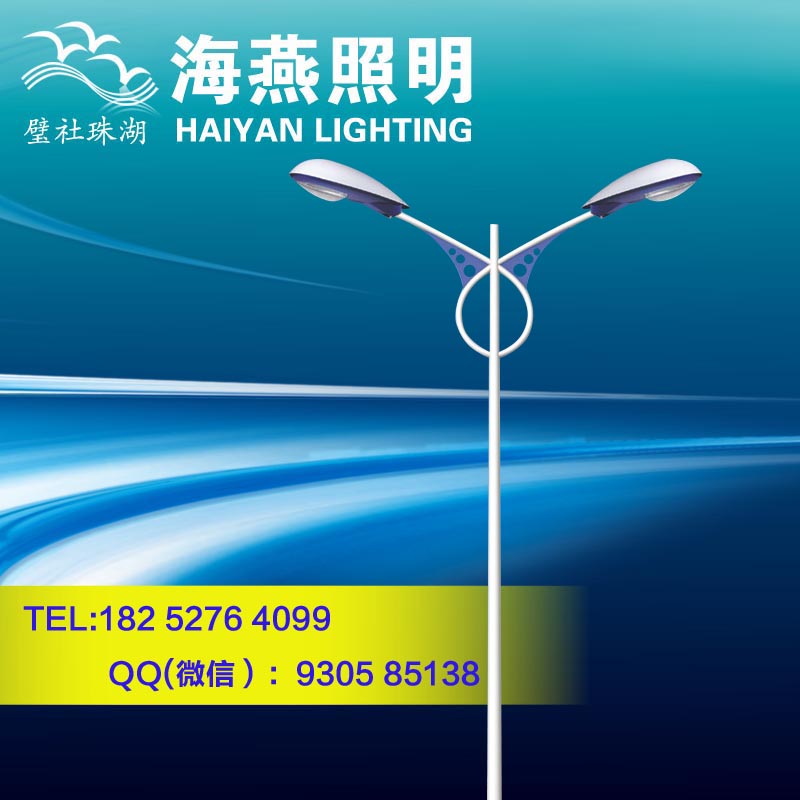 新沂雙臂路燈多少錢一套